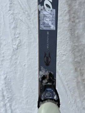 石井スポーツに投稿された画像（2026/3/28）