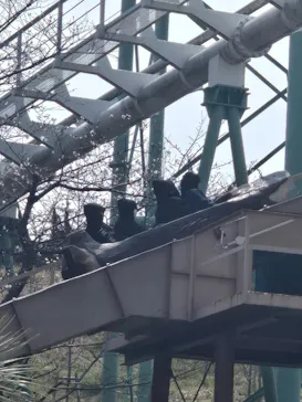 ひらかたパークに投稿された画像（2026/3/28）