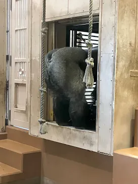 名古屋市東山動植物園に投稿された画像（2026/3/28）