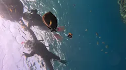 武藤潜水に投稿された画像（2026/3/28）