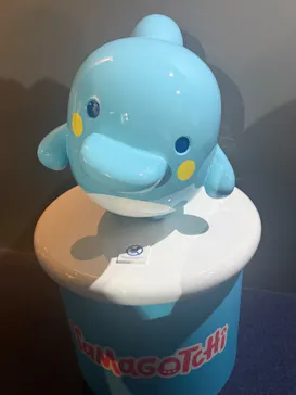 新江ノ島水族館に投稿された画像（2026/3/28）