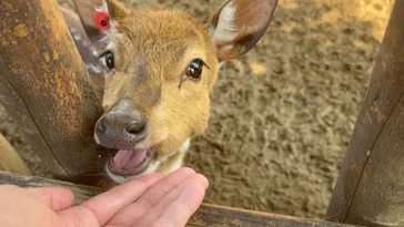 東武動物公園に投稿された画像（2026/3/28）