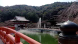 勝尾寺に投稿された画像（2026/3/28）