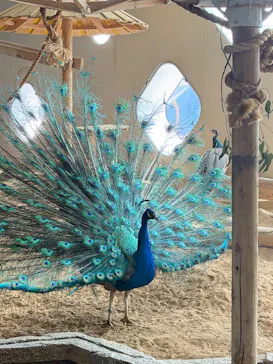 NIFREL（ニフレル）に投稿された画像（2026/3/28）