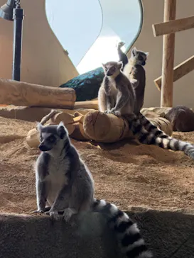 NIFREL（ニフレル）に投稿された画像（2026/3/28）