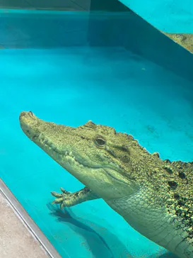 NIFREL（ニフレル）に投稿された画像（2026/3/28）