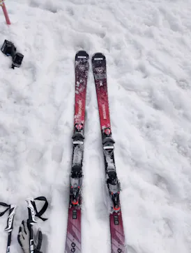 石井スポーツに投稿された画像（2026/3/28）