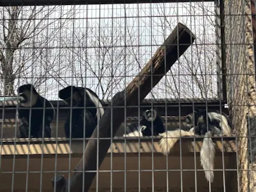 恩賜上野動物園に投稿された画像（2026/3/28）
