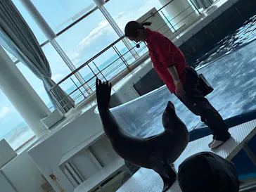 アクアワールド茨城県大洗水族館に投稿された画像（2026/3/28）