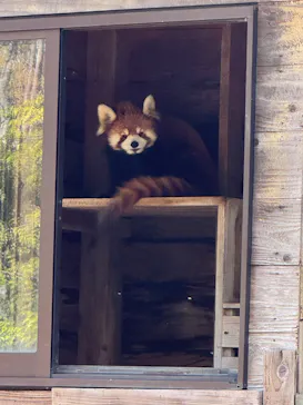 千葉市動物公園に投稿された画像（2026/3/28）