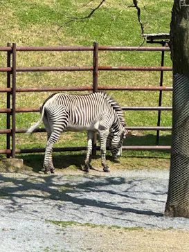 千葉市動物公園に投稿された画像（2026/3/28）