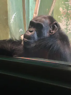 千葉市動物公園に投稿された画像（2026/3/28）