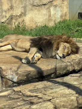 千葉市動物公園に投稿された画像（2026/3/28）