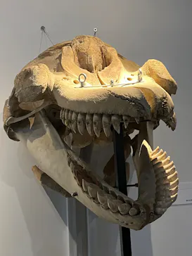 特別展「超危険生物展　科学で挑む生き物の本気」に投稿された画像（2026/3/28）