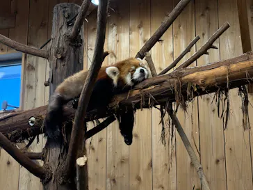 伊豆シャボテン動物公園に投稿された画像（2026/3/28）
