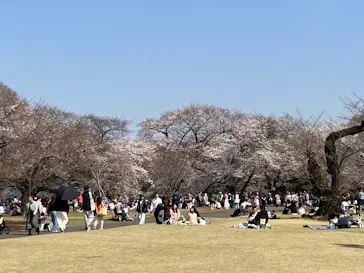新宿御苑に投稿された画像（2026/3/28）