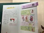 特別展「鳥 ～ゲノム解析が解き明かす新しい鳥類の系統～」に投稿された画像（2026/3/28）
