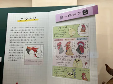 特別展「鳥 ～ゲノム解析が解き明かす新しい鳥類の系統～」に投稿された画像（2026/3/28）