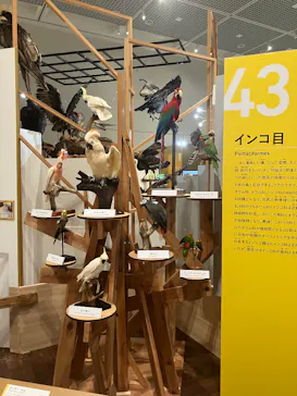 特別展「鳥 ～ゲノム解析が解き明かす新しい鳥類の系統～」に投稿された画像（2026/3/28）