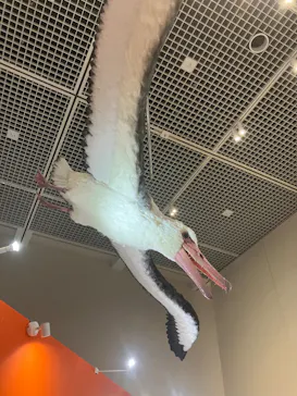 特別展「鳥 ～ゲノム解析が解き明かす新しい鳥類の系統～」に投稿された画像（2026/3/28）