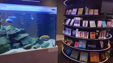 AQUARIUM × ART　atoa×神戸ポートタワーに投稿された画像（2026/3/28）