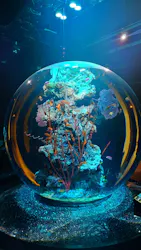 AQUARIUM × ART　atoa×神戸ポートタワーに投稿された画像（2026/3/28）