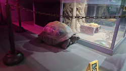 AQUARIUM × ART　atoa×神戸ポートタワーに投稿された画像（2026/3/28）
