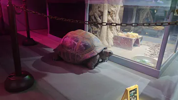 AQUARIUM × ART　atoa×神戸ポートタワーに投稿された画像（2026/3/28）