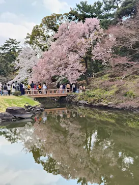 新宿御苑に投稿された画像（2026/3/28）