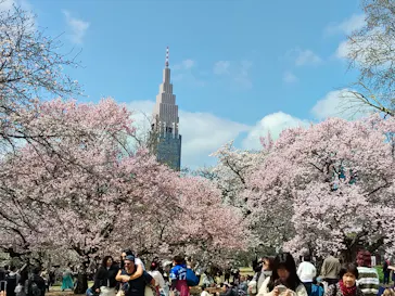 新宿御苑に投稿された画像（2026/3/28）