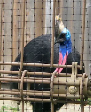 東武動物公園に投稿された画像（2026/3/28）