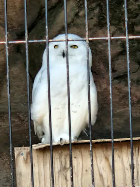 東武動物公園に投稿された画像（2026/3/28）