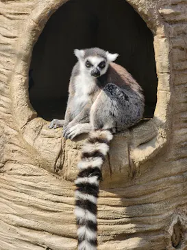 東武動物公園に投稿された画像（2026/3/28）