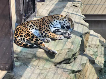 東武動物公園に投稿された画像（2026/3/28）