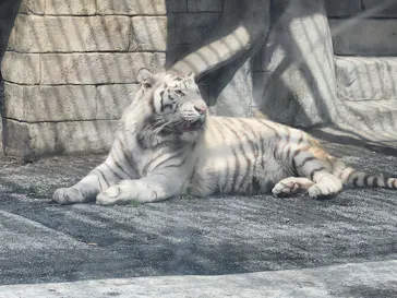 東武動物公園に投稿された画像（2026/3/28）