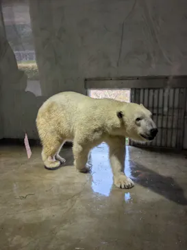 名古屋市東山動植物園に投稿された画像（2026/3/28）