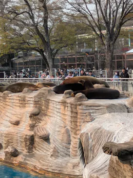 名古屋市東山動植物園に投稿された画像（2026/3/28）