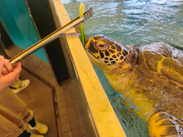 越前松島水族館に投稿された画像（2026/3/28）