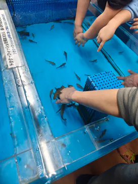 越前松島水族館に投稿された画像（2026/3/28）