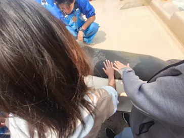 越前松島水族館に投稿された画像（2026/3/28）