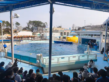 越前松島水族館に投稿された画像（2026/3/28）