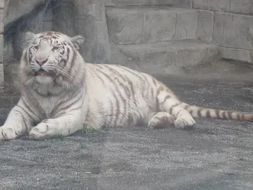 東武動物公園に投稿された画像（2026/3/28）