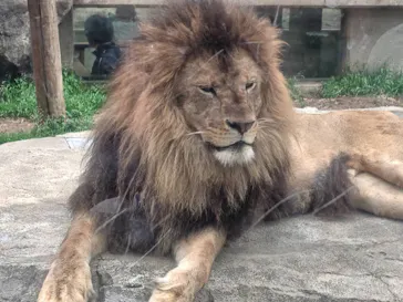 東武動物公園に投稿された画像（2026/3/28）