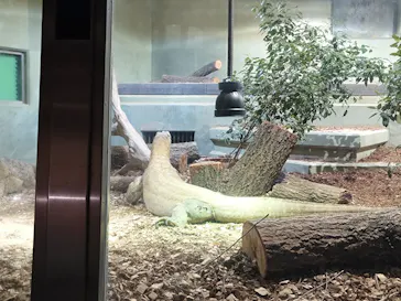 名古屋市東山動植物園に投稿された画像（2026/3/28）