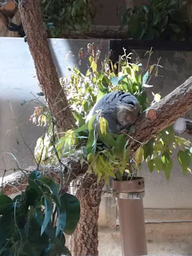 名古屋市東山動植物園に投稿された画像（2026/3/28）