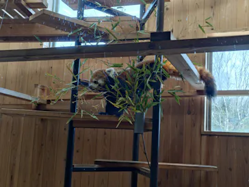 名古屋市東山動植物園に投稿された画像（2026/3/28）