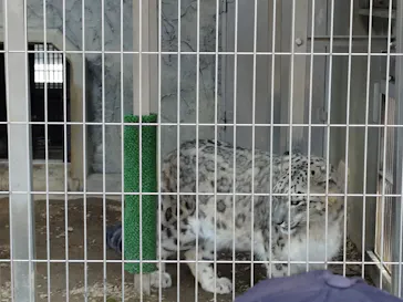 名古屋市東山動植物園に投稿された画像（2026/3/28）