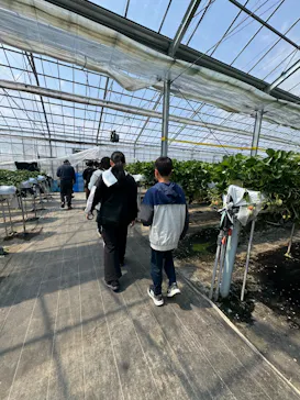 果実の里 原田農園に投稿された画像（2026/3/28）