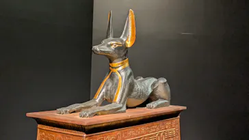 MYSTERY OF TUTANKHAMEN 体感型古代エジプト展に投稿された画像（2026/3/28）