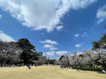 新宿御苑に投稿された画像（2026/3/28）
